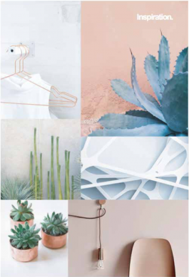 SARAH LEHLEITER   freelance designer