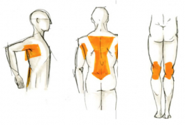 SARAH LEHLEITER   freelance designer