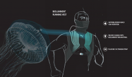 SARAH LEHLEITER   freelance designer