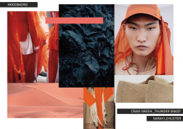 SARAH LEHLEITER   freelance designer